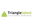 Logo Triangle Solutions RH